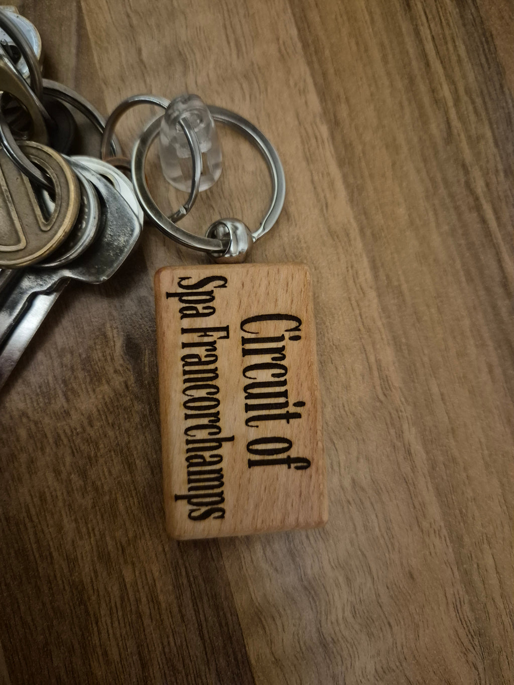 Circuit of spa keyring
