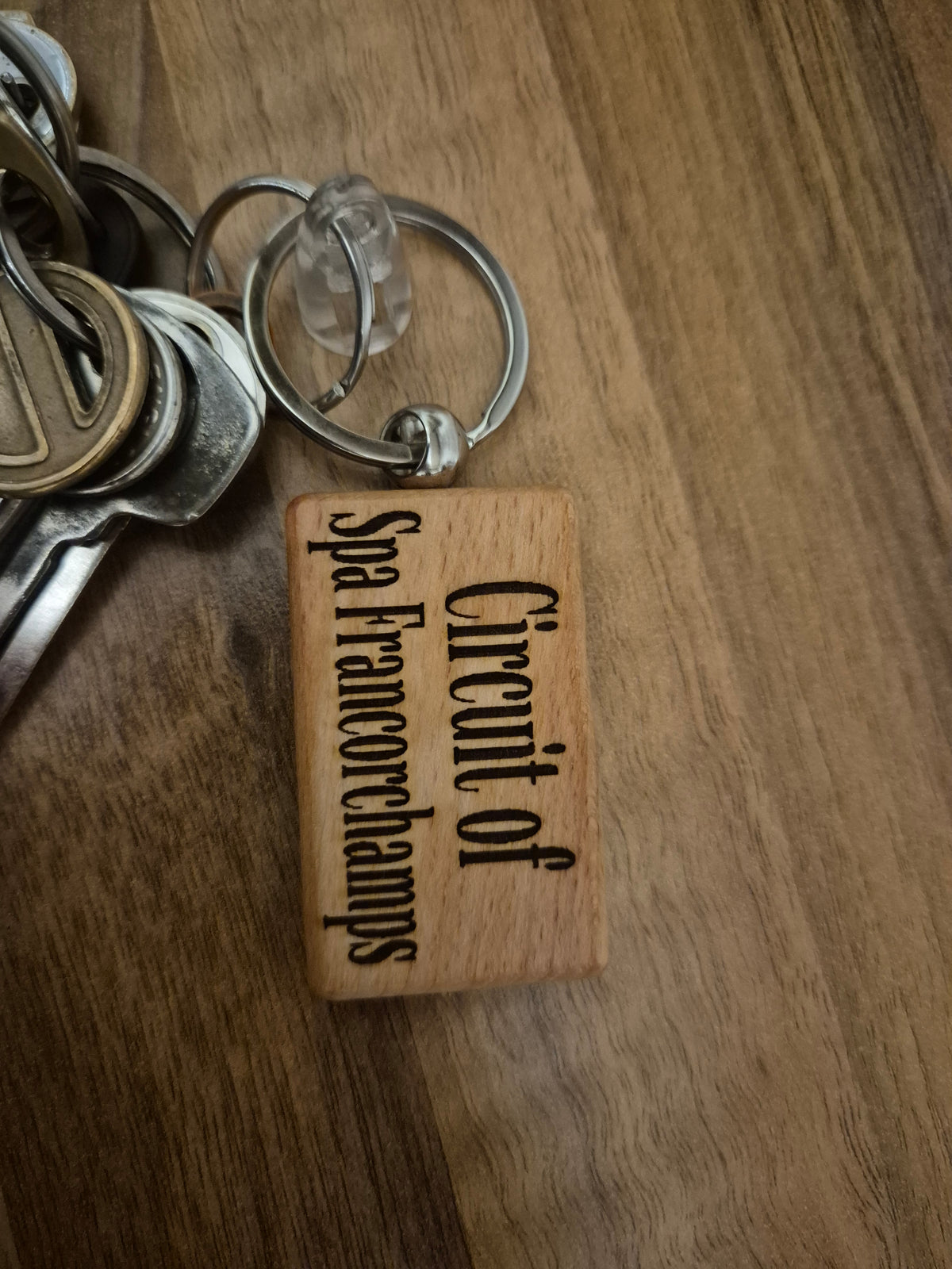 Circuit of spa keyring