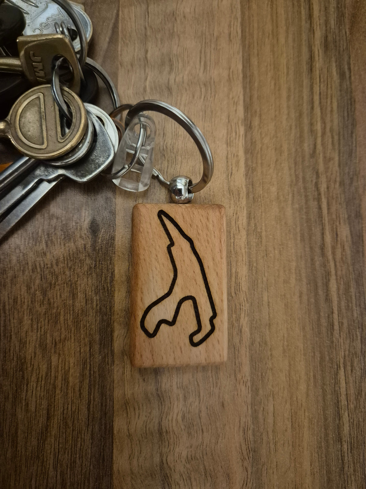 Circuit of spa keyring
