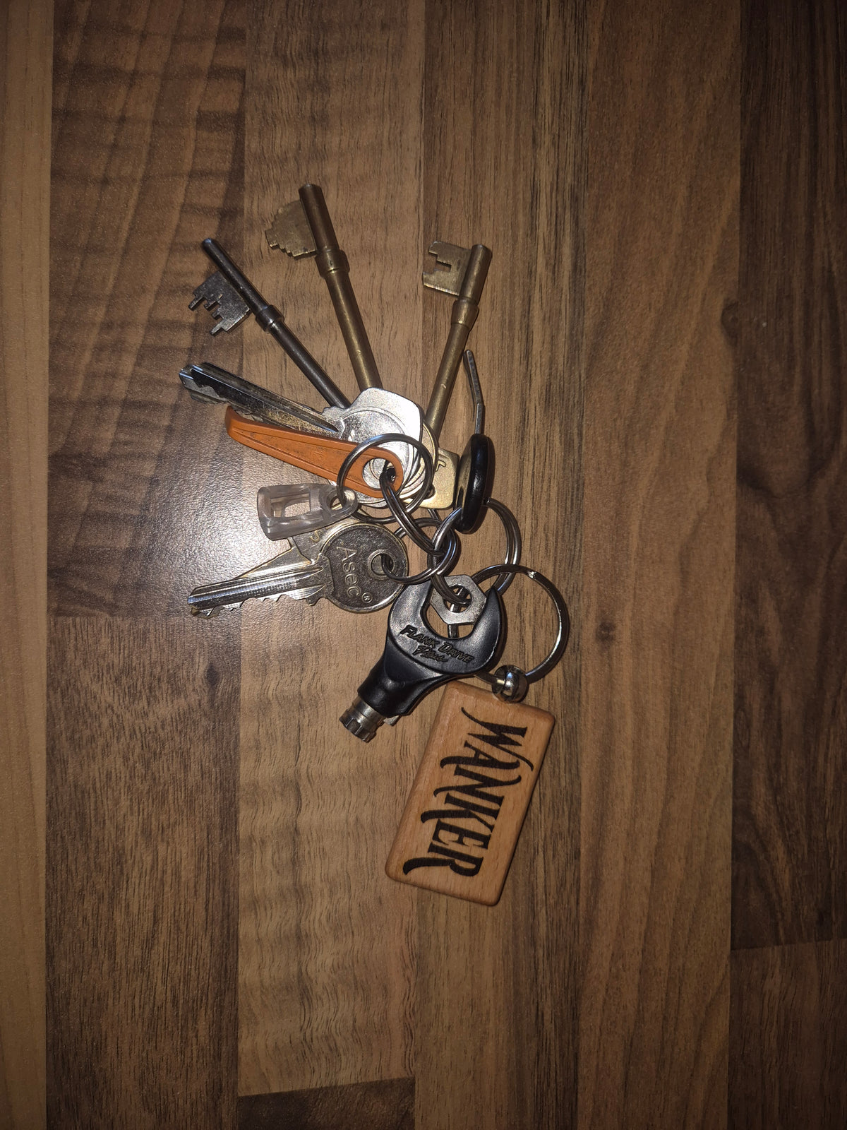 Curse word keyrings