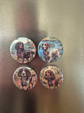 Spaniel set of 4 magnets 32mm
