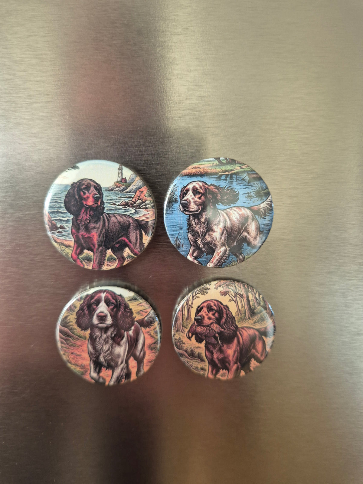 Spaniel set of 4 magnets 32mm